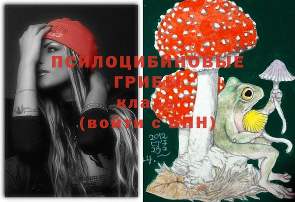 экстази Бородино