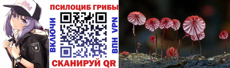 Галлюциногенные грибы Magic Shrooms  Клинцы 